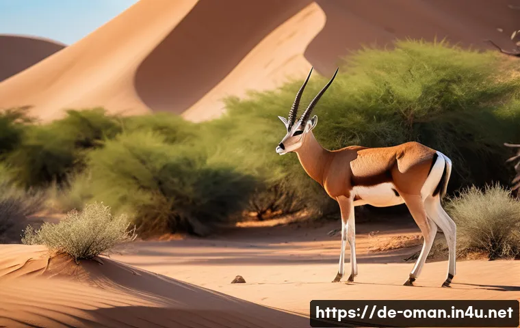 오만 무스카트 국립 동물원 - A detailed, realistic scene of an Arabian Oryx and a Sand Gazelle standing gracefully in a spacious,...